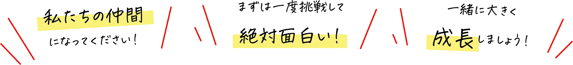 応募エントリーフォーム